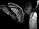 winged_Lady